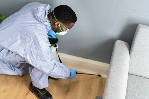 Professional Pest control in Kewanee, IL